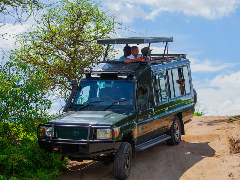 landcruiser safari