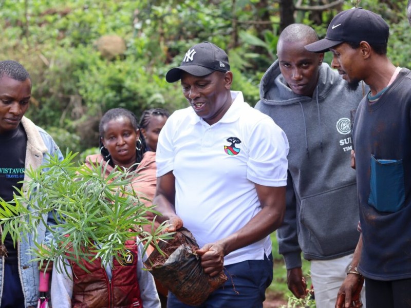 Ondiri Wetlands - Tree Planting Activity