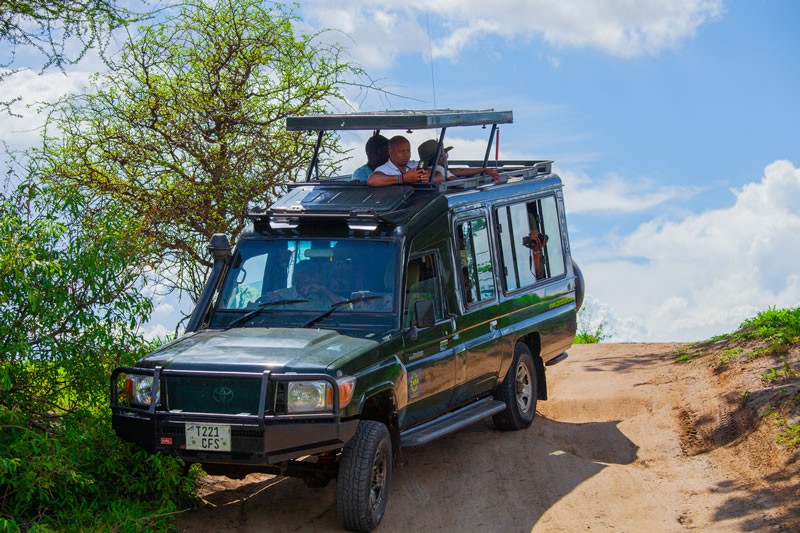 Our eventful trip to the Serengeti, Tanzania this year (2023) courtesy of ZARA Safaris.