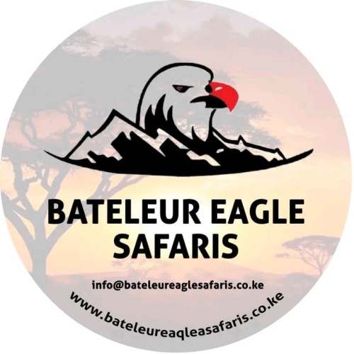 BATELEUR EAGLE SAFARIS LIMITED